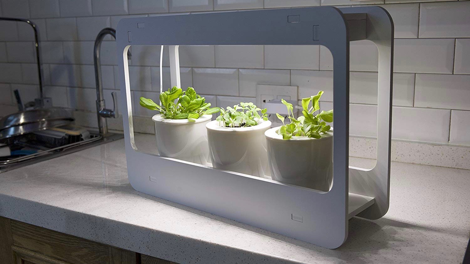 Incredible Automatic Self Watering Grow Bag Garden System Plant it and  Forget It 