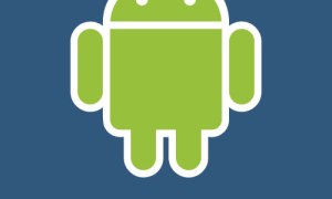 android 2 will support flash