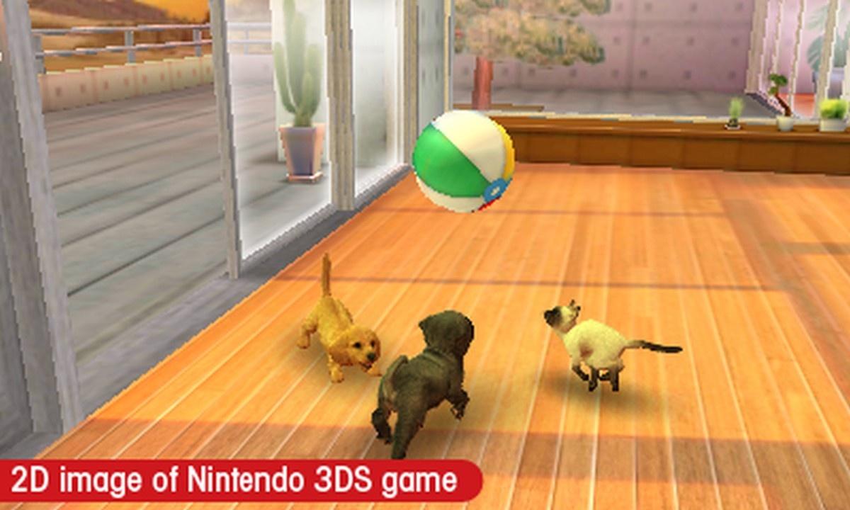 Nintendogs Cats 3DS Review Digital Trends