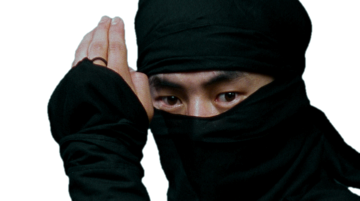 Hacker vigilantes Web Ninjas lashing out at LulzSec | Digital Trends