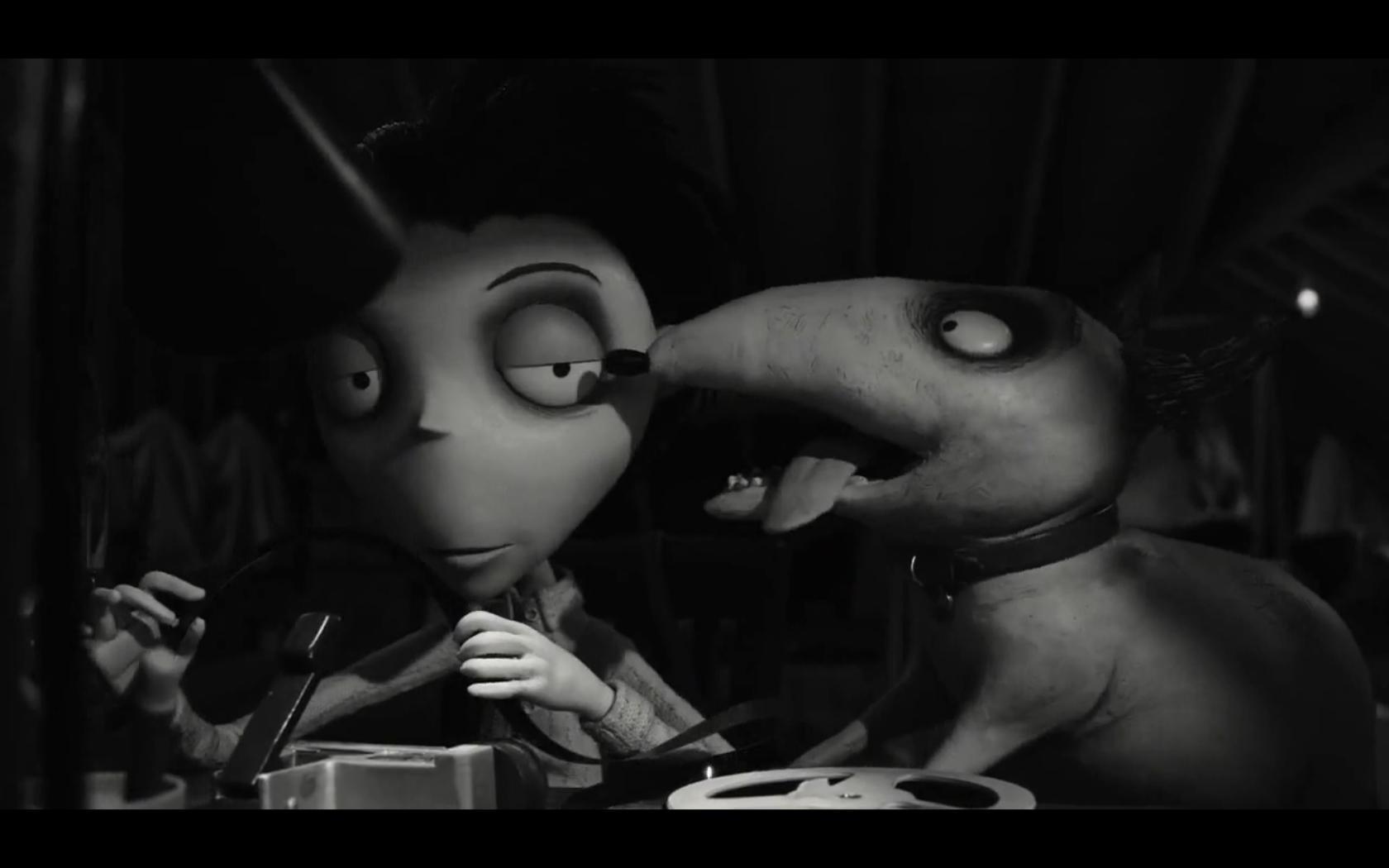 Film Frankenweenie encore.