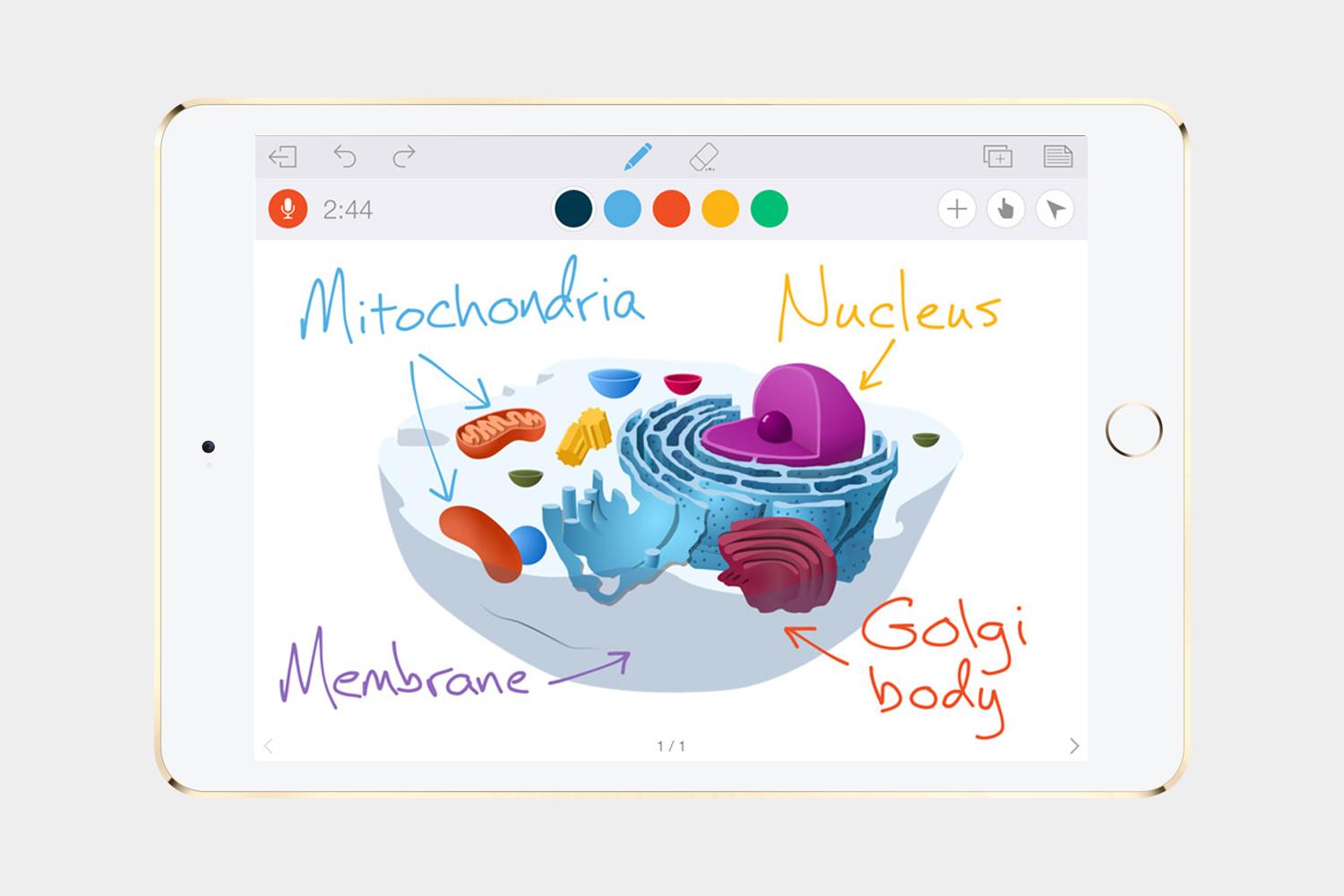 Educreations App whiteboard. 