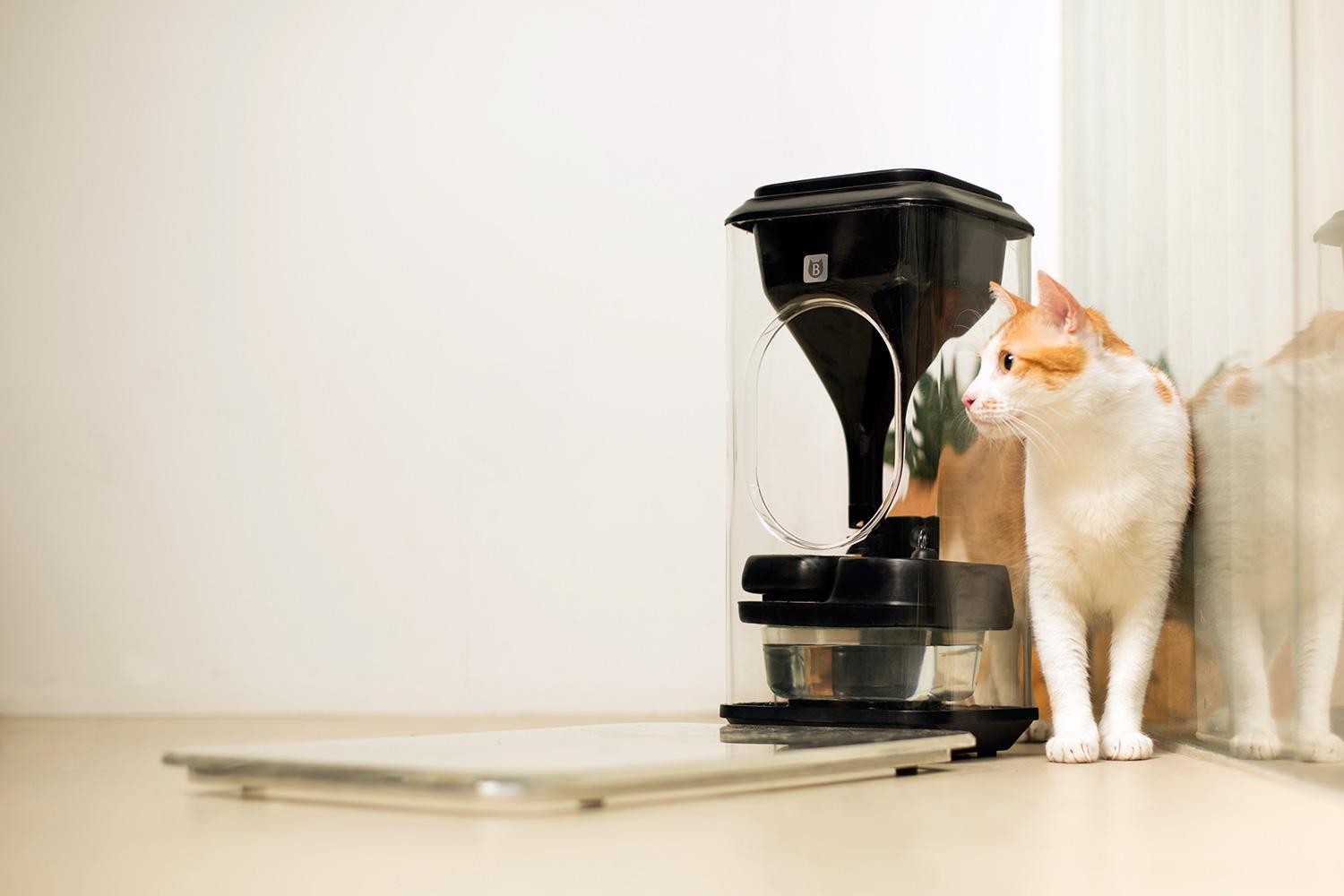 The Bistro Feeder Tracks Your Cats With Feline Facial Recognition   Bistro Smart Cat Feeder 001 