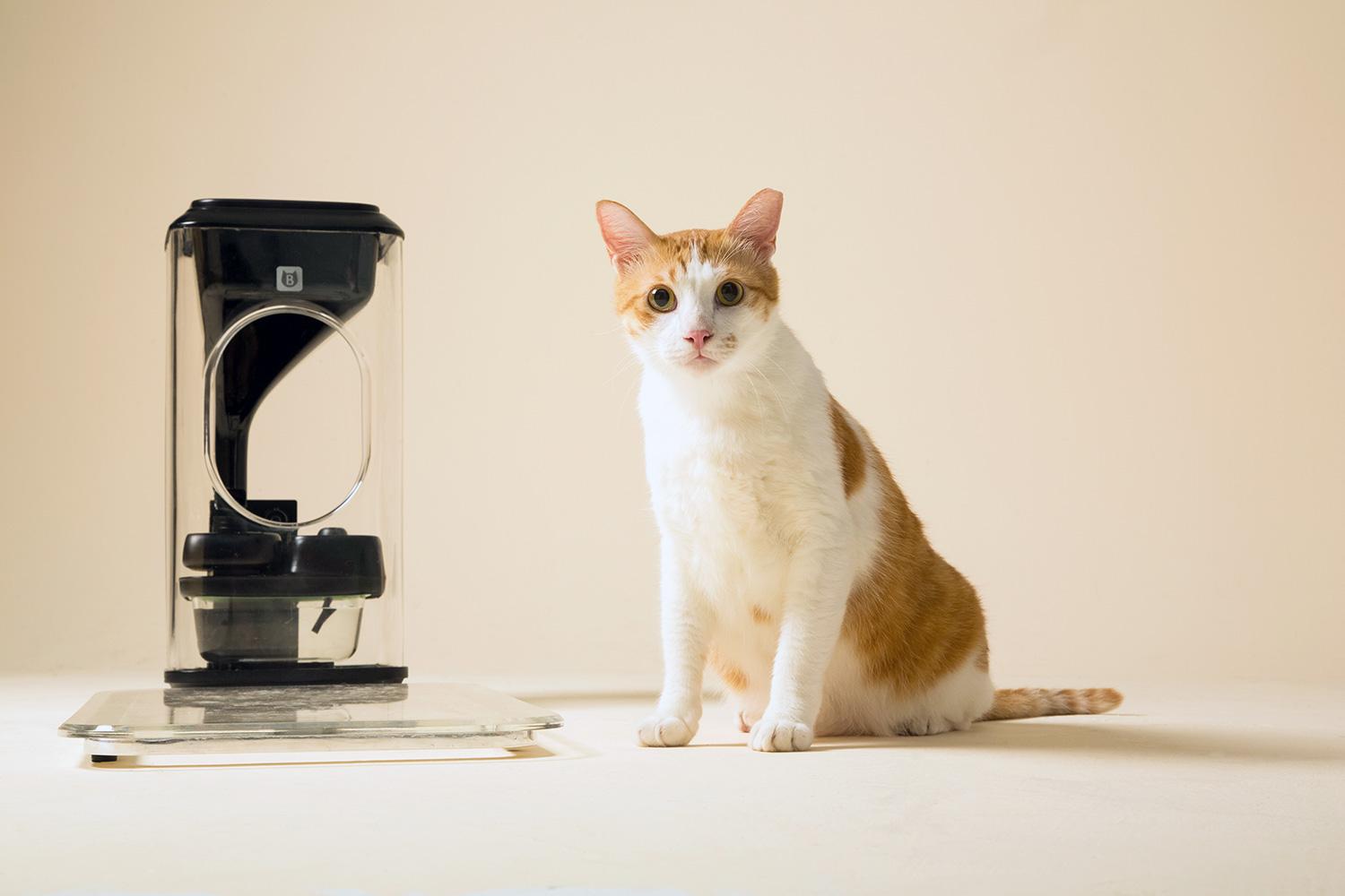 The Bistro feeder tracks your cats with feline facial recognition