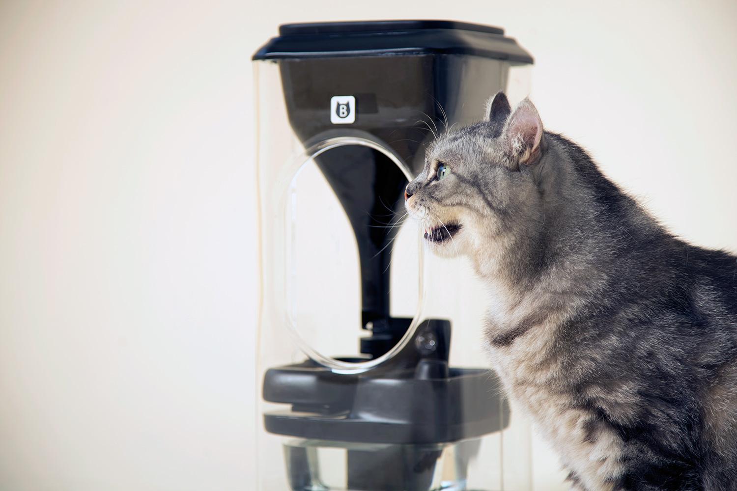 The Bistro Feeder Tracks Your Cats With Feline Facial Recognition   Bistro Smart Cat Feeder 003 