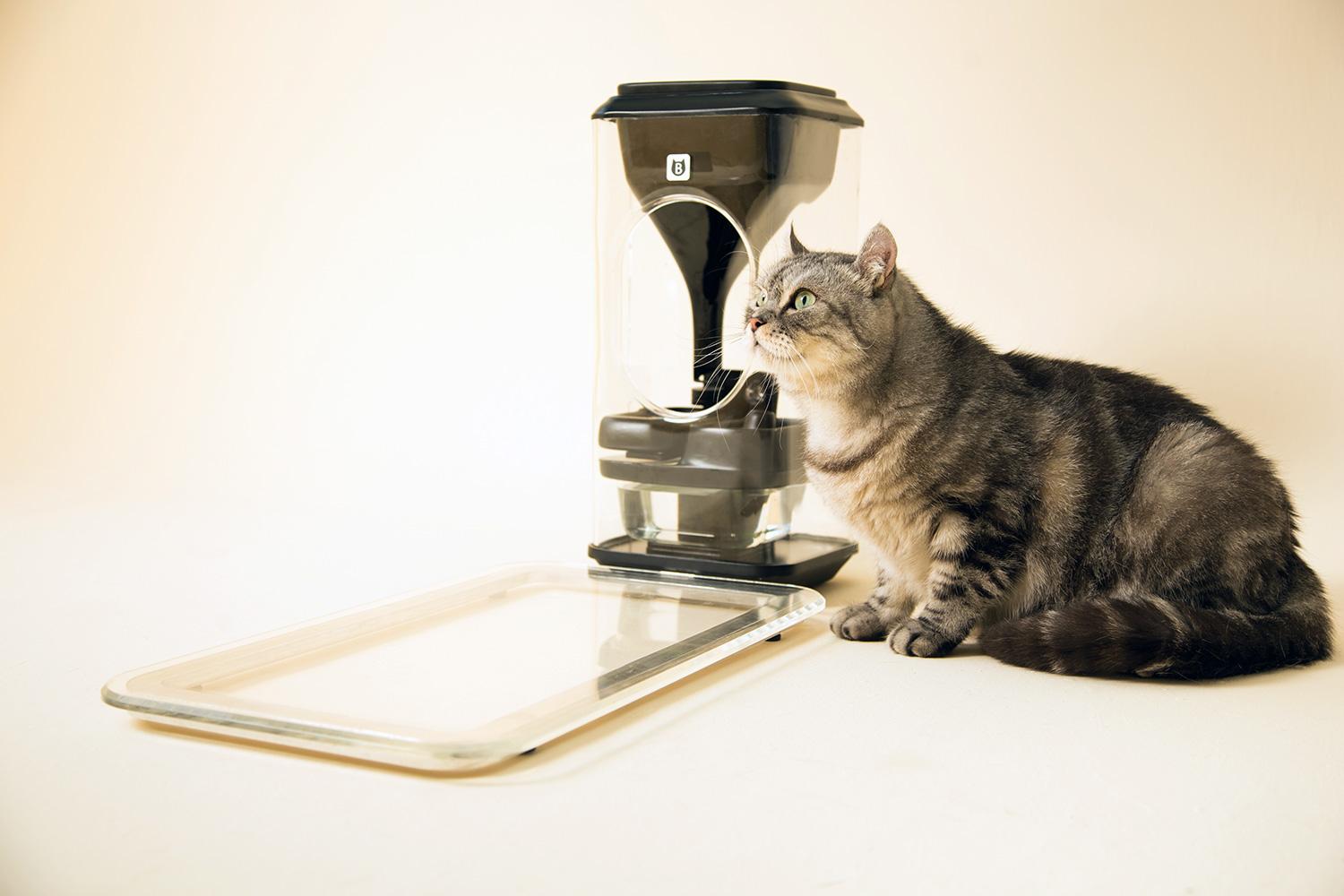 The Bistro Feeder Tracks Your Cats With Feline Facial Recognition   Bistro Smart Cat Feeder 004 