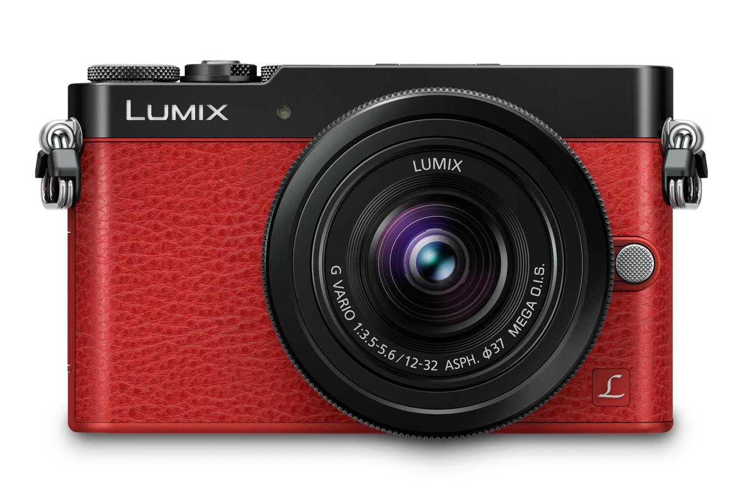 Фотографии Сделанные Фотокамерой Lumix Dmc Zx1