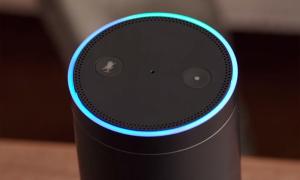 ask your amazon echo and dominos will deliver you pizza feature