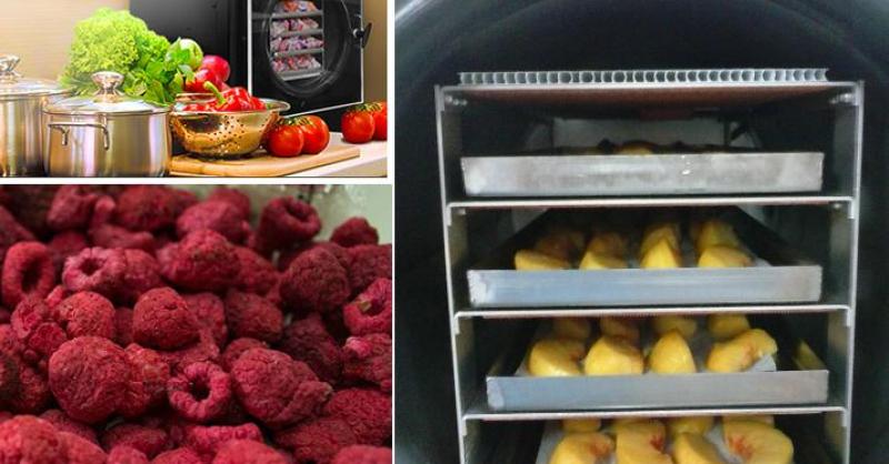 Freeze Dryer: Home-made freeze dried foods using the Harvest Right Freeze  Dryer
