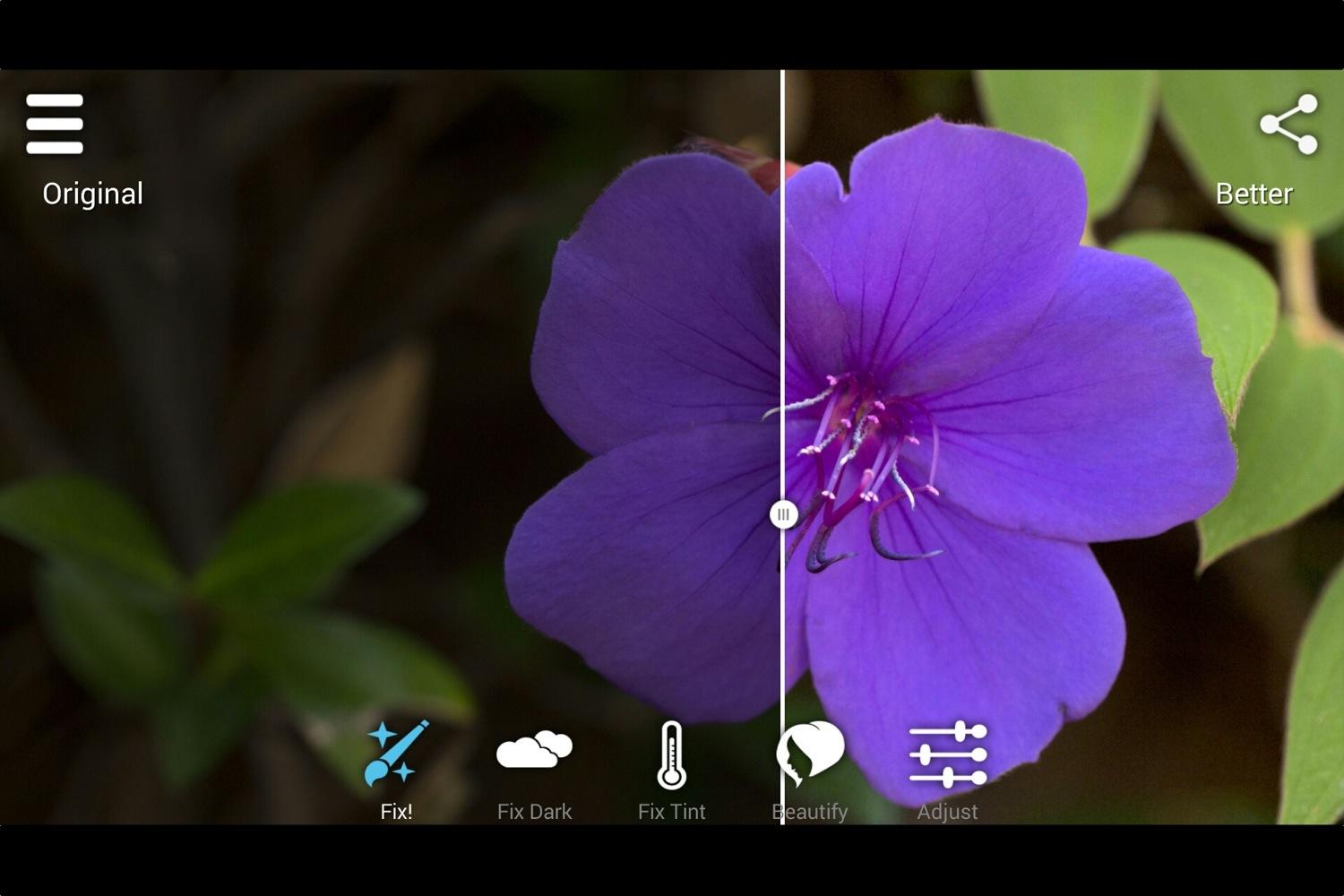 Perfectly Clear Video 4.6.0.2595 instal the new for windows