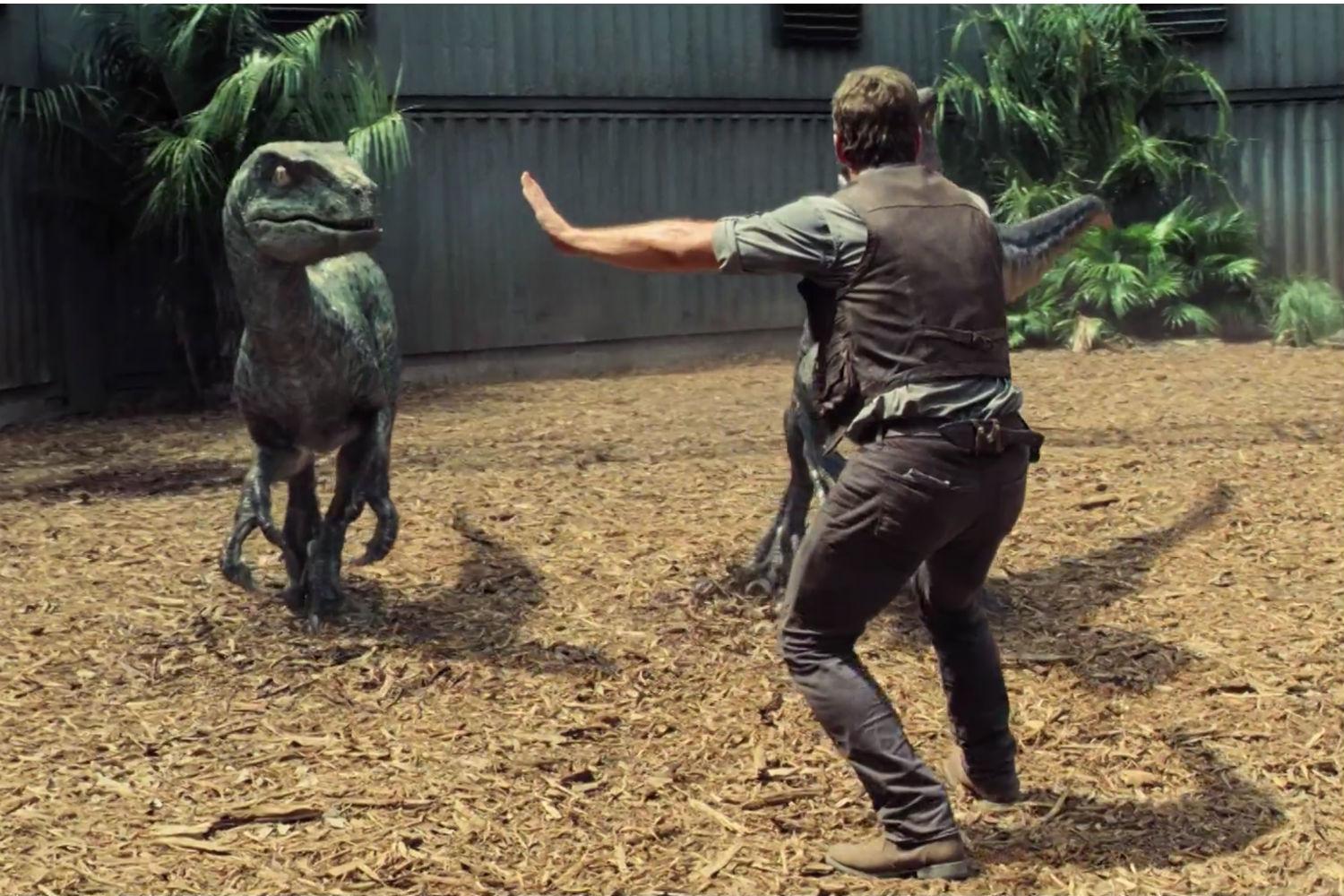 Chris Pratt Has A Raptor Encounter In New Jurassic World Clip Digital Trends 