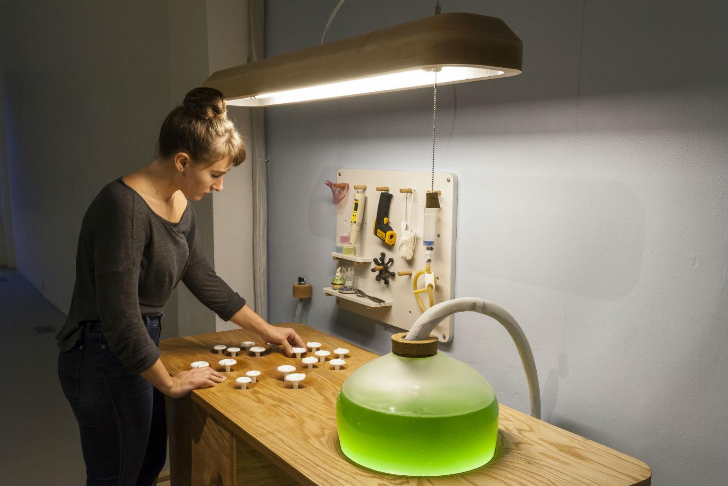 algae lamps for sale