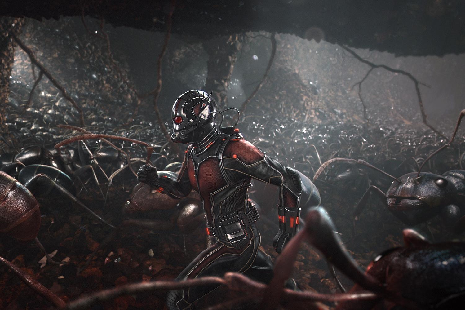 Everything We Know About ANT-MAN AND THE WASP: QUANTUMANIA - Nerdist