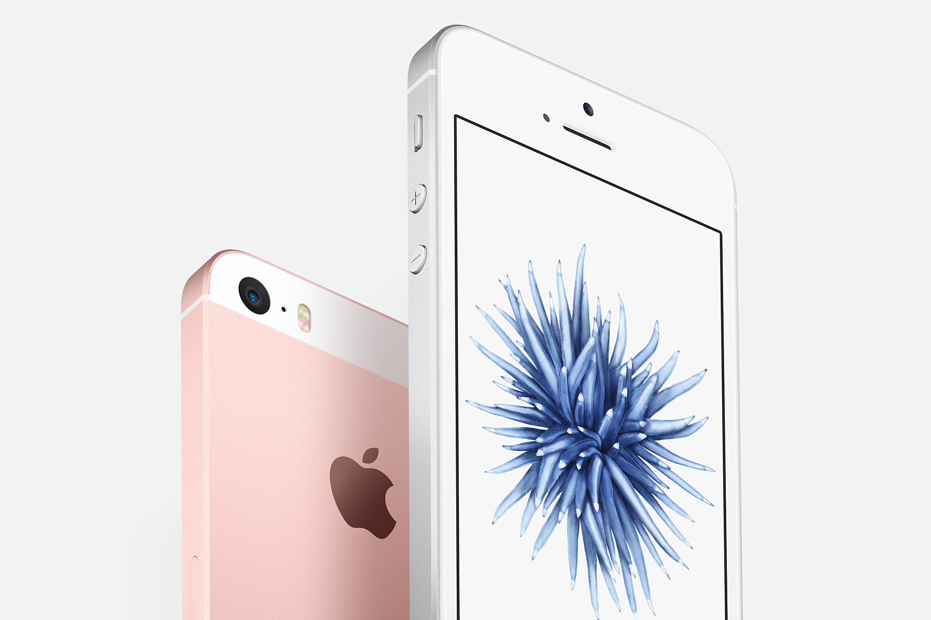 How to Order the iPhone SE | Digital Trends