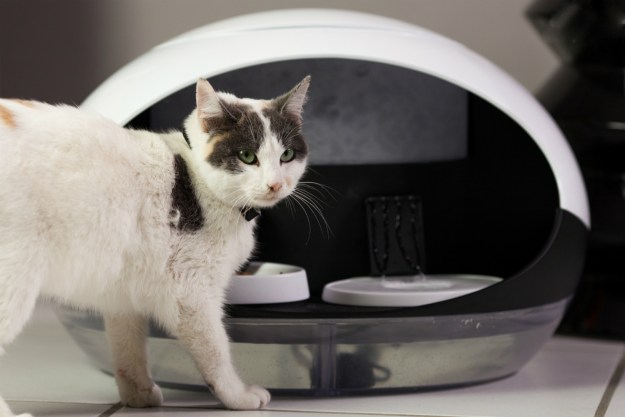 The Bistro Feeder Tracks Your Cats With Feline Facial Recognition