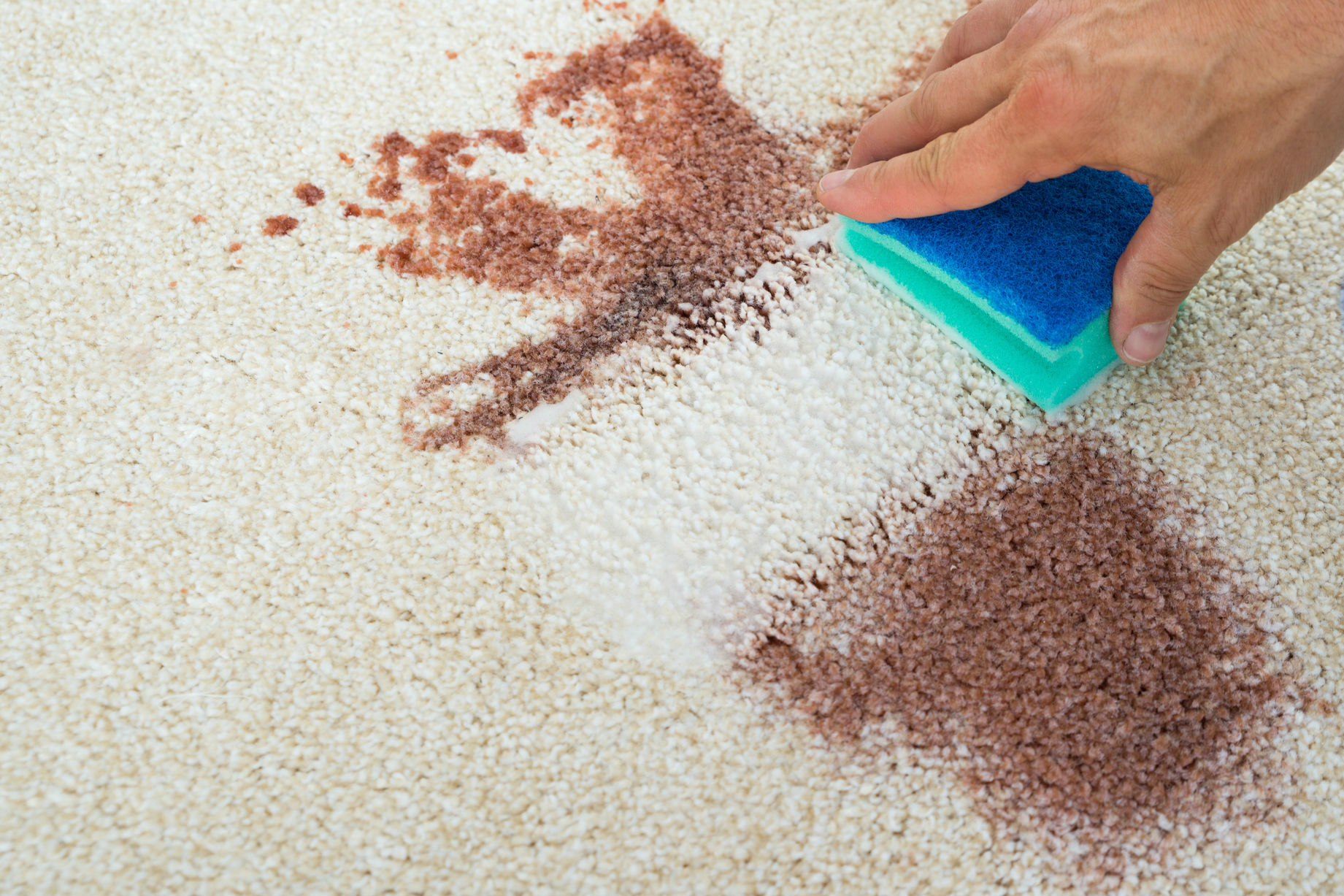 Multi-Clean How to Remove Blood Stains from carpet, upholstery