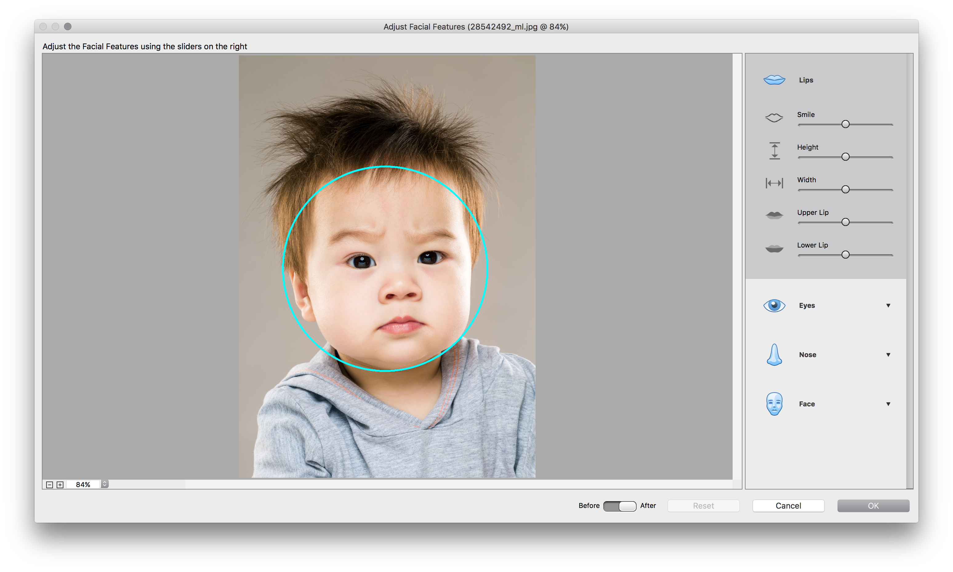 adobe photoshop elements 14 vs. adobe photoshop