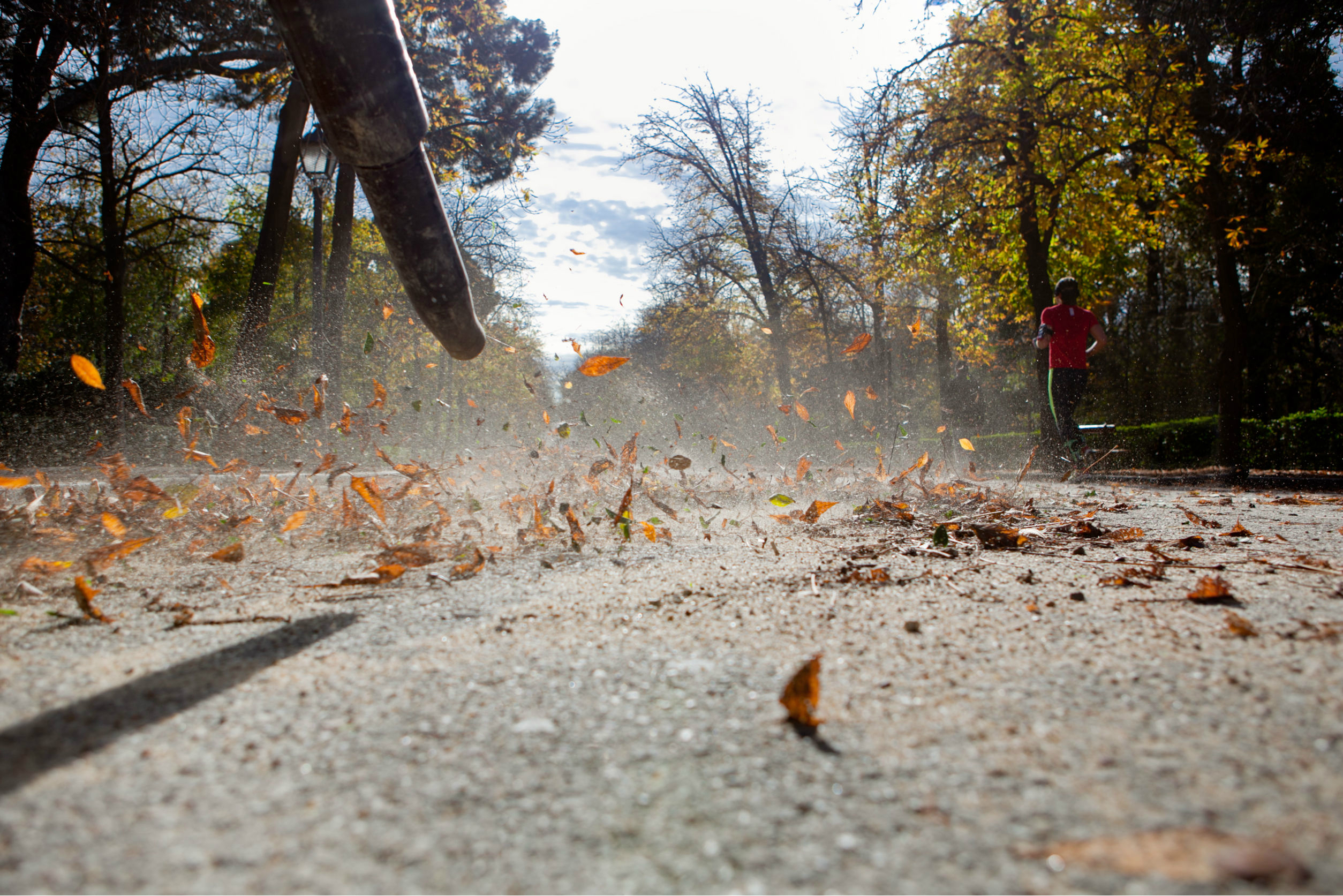 The 5 Best Leaf Blowers of 2016 Digital Trends