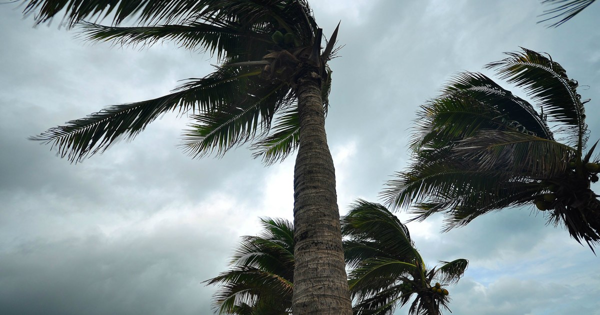 Japanese Team Invents a Typhoon-Powered Wind Turbine | Digital Trends