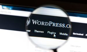 wordpress vulnerability version 472 plug in