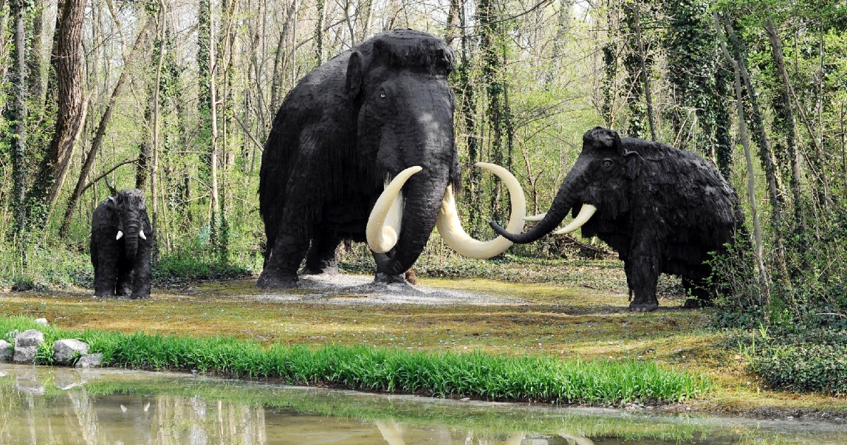 Woolly Mammoths Could Walk The Earth Again, Thanks To Harvard ...