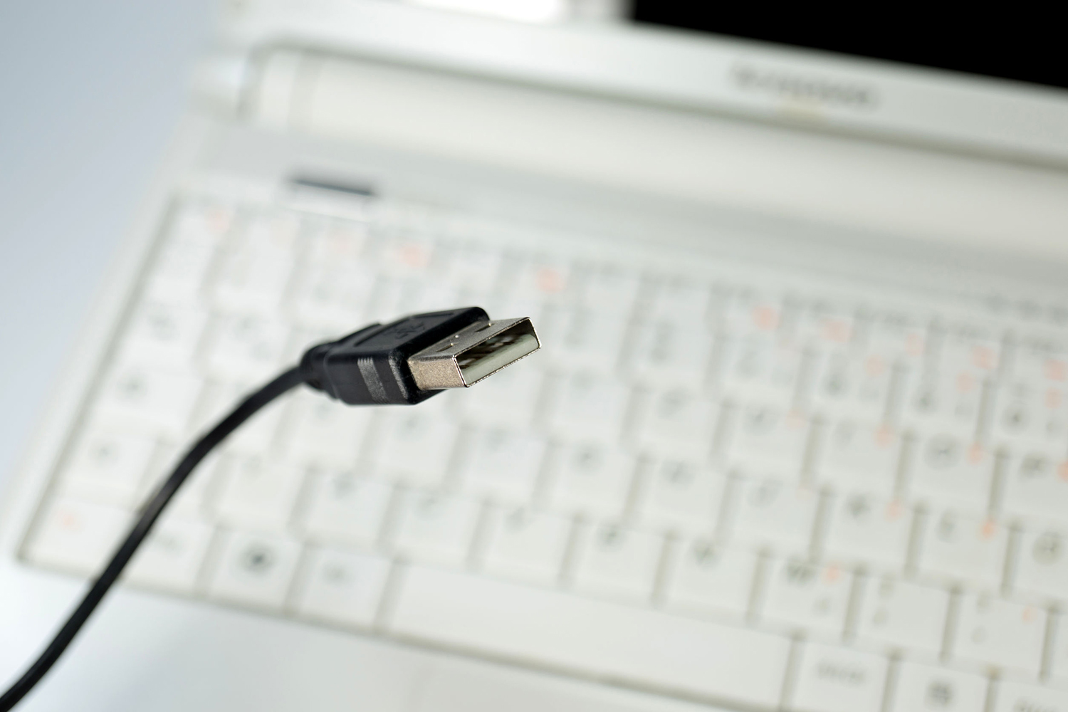 Crucial - Adaptateur USB Type-C 3.2 vers USB Type-A 3.2 - Câble