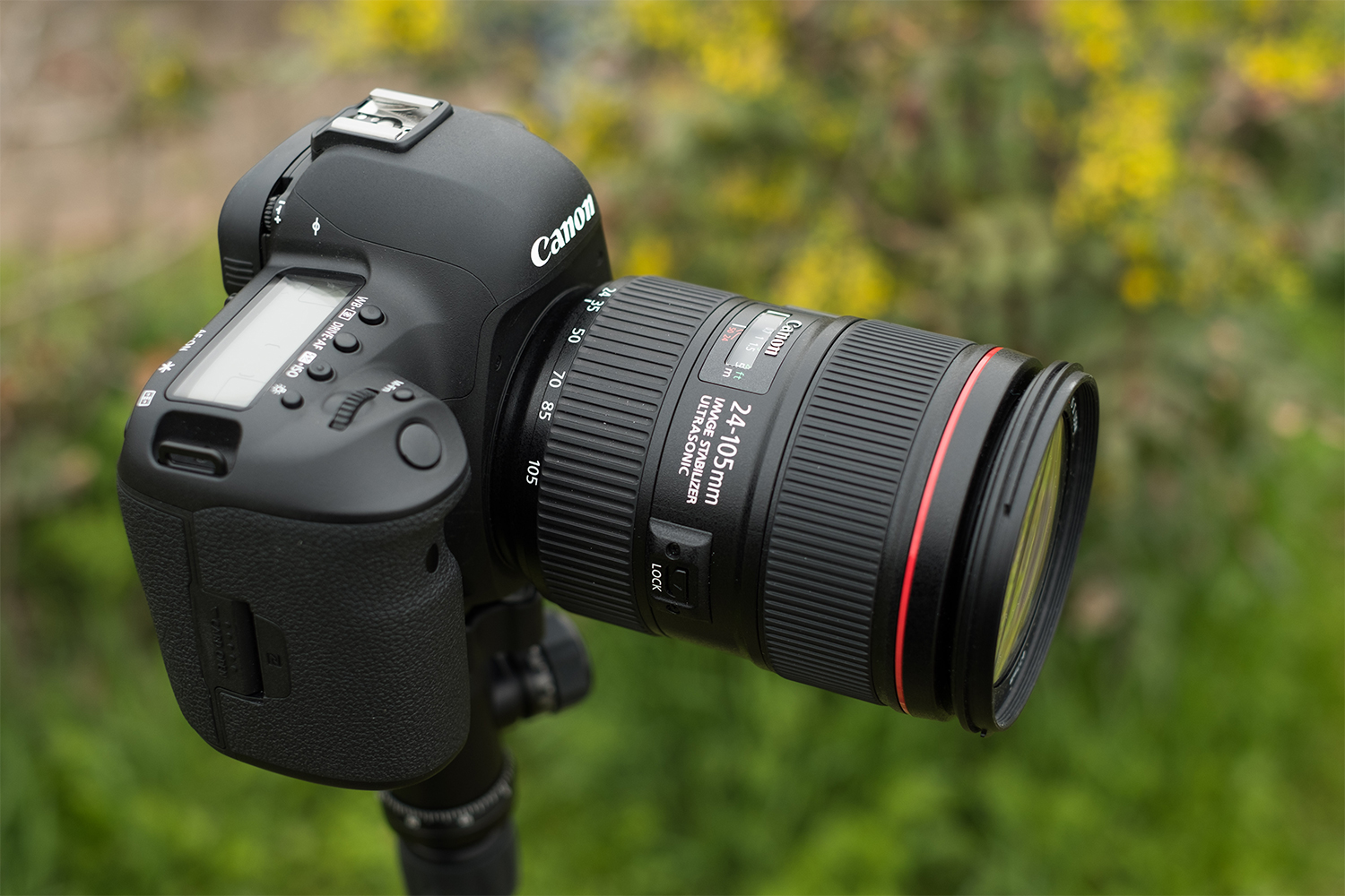 Canon EOS 5D Mark IV Review