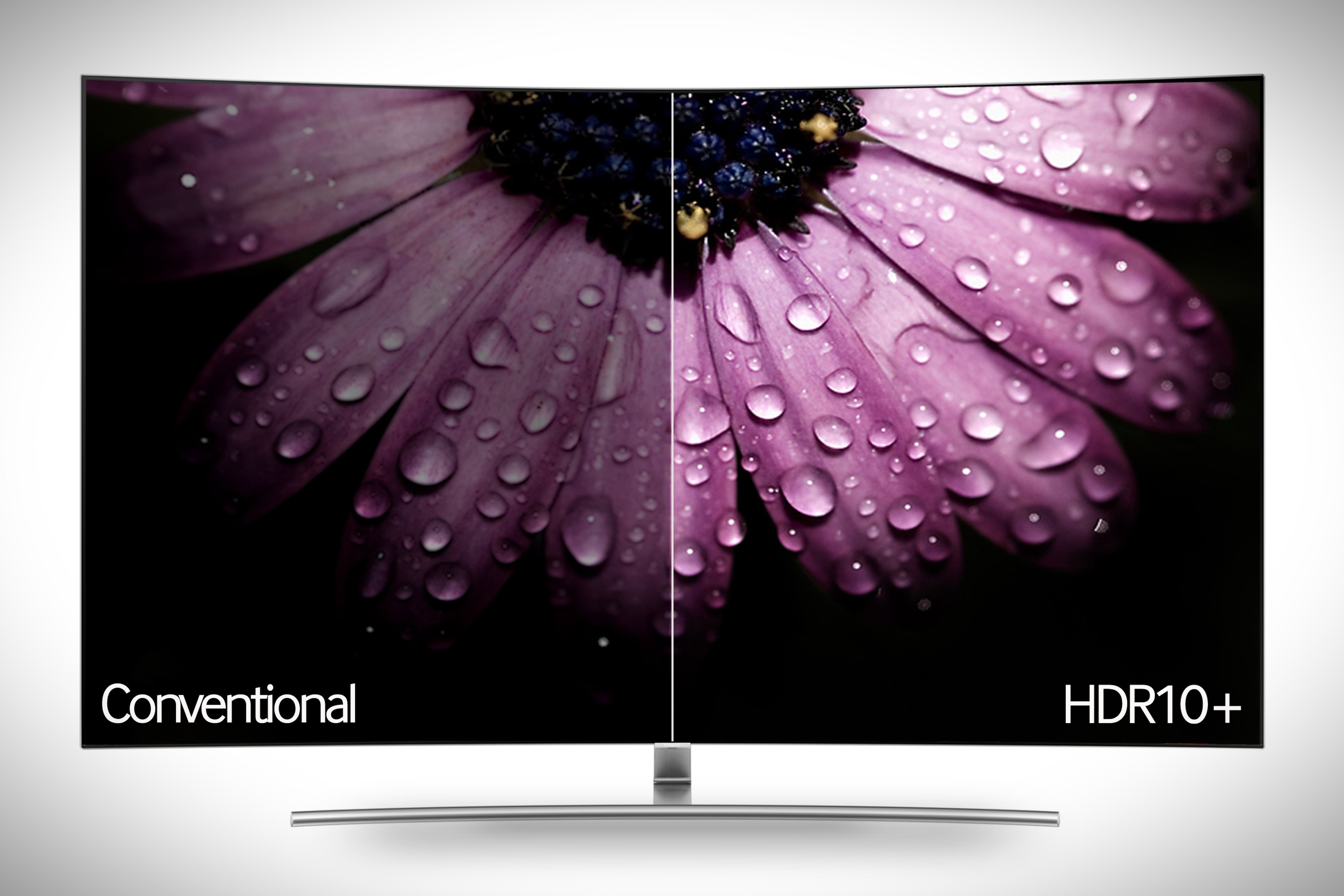 hdr 10 display