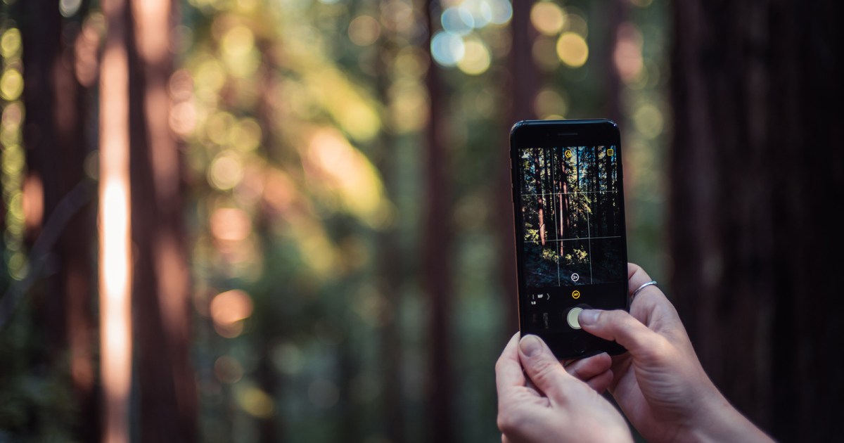 Control the iPhone Camera With More Finesse With Halide, A Photo App ...