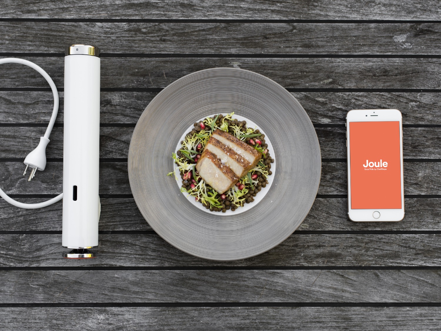 Joule review: 's Alexa lends a hand to this sous vide