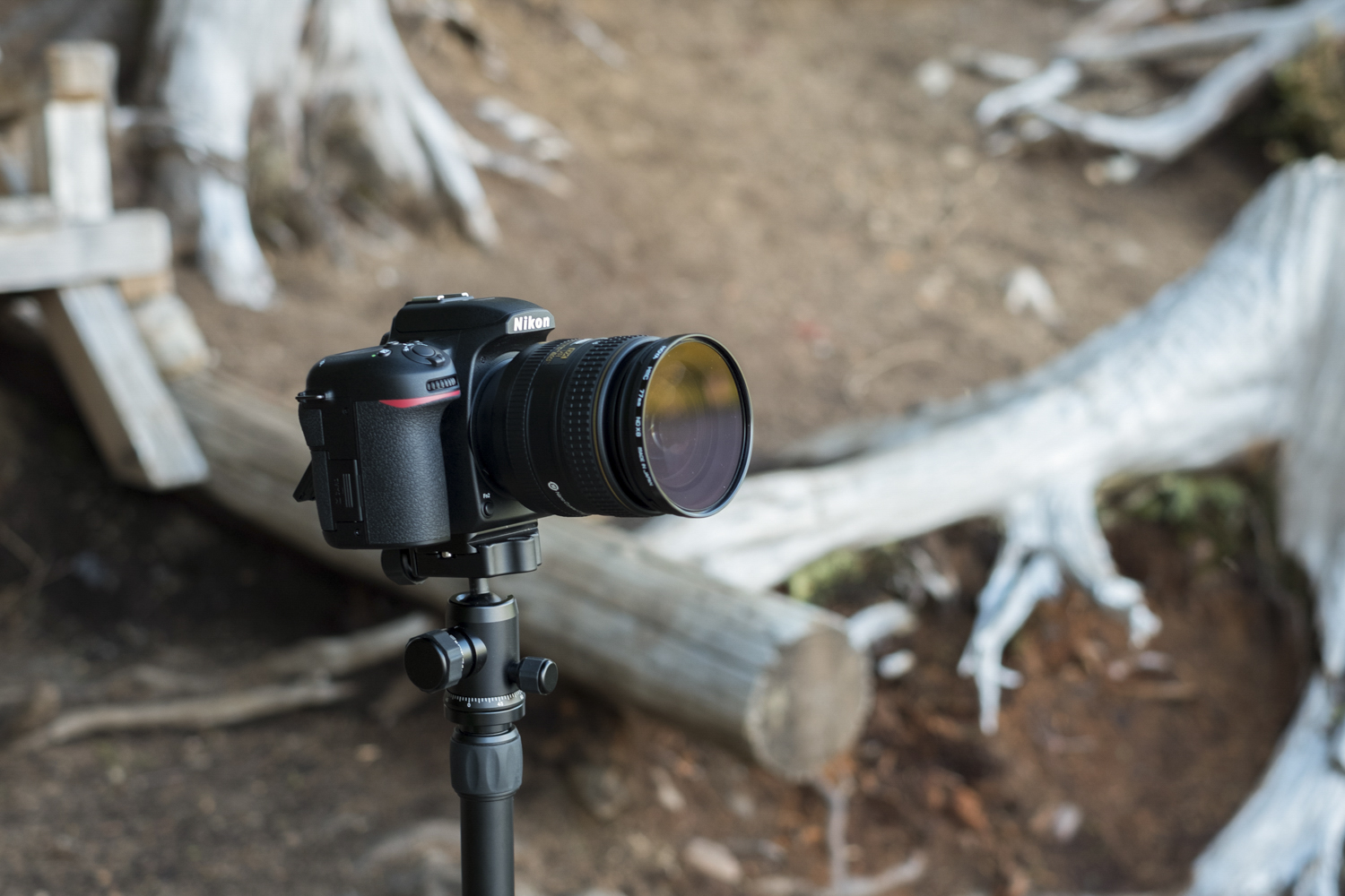 Review: Nikon D7500 is a High-Quality Camera in a Consumer Package -  Videomaker