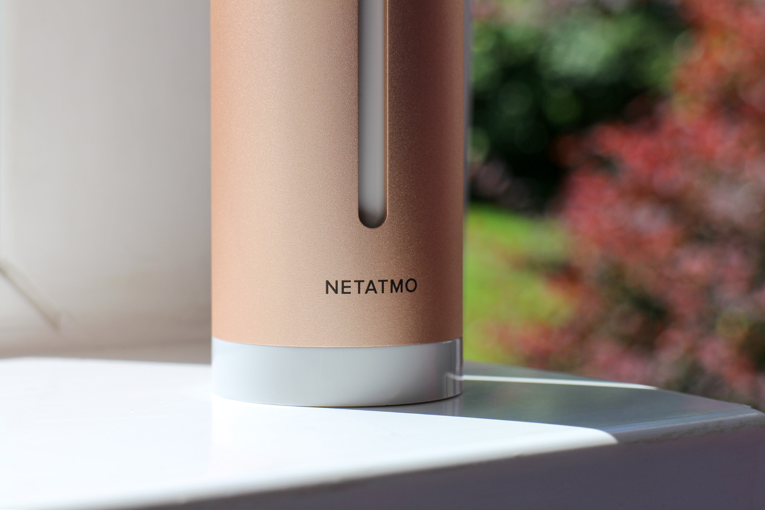 Netatmo healthy home coach google sale home