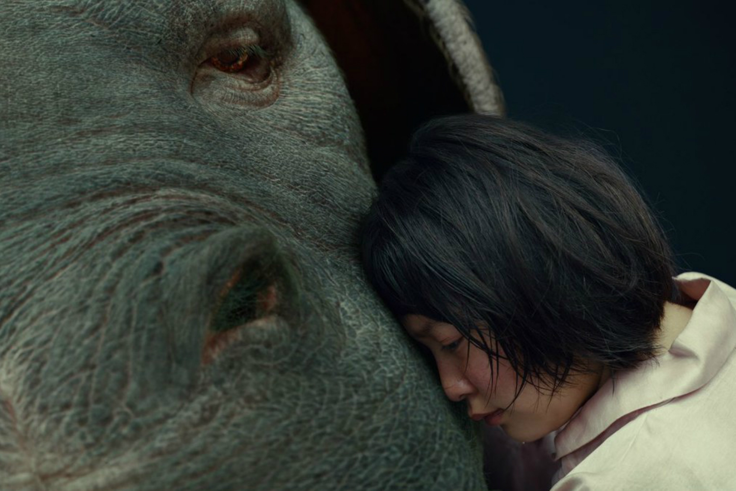 48 Facts about the movie Okja - Facts.net