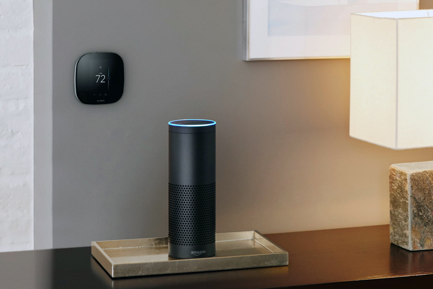 Echo whole home store audio