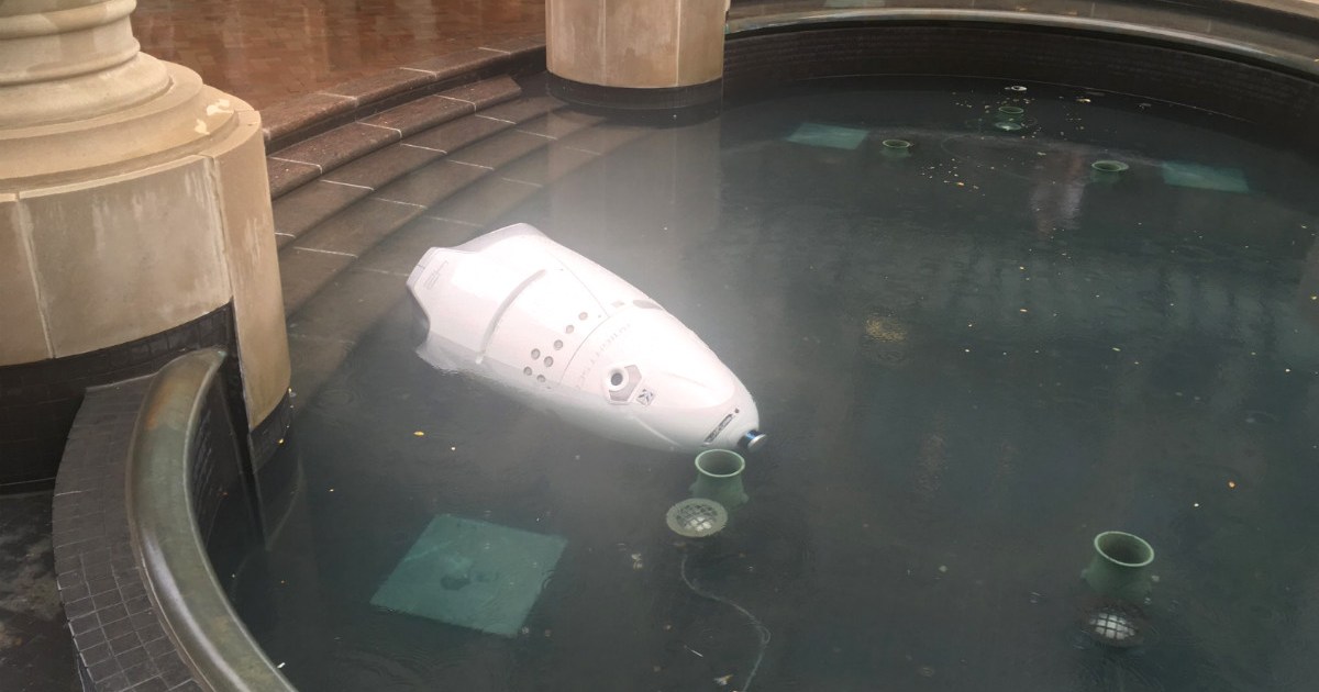 A Security Robot Called Steve Rolled Into Pool and Drowned | Digital Trends