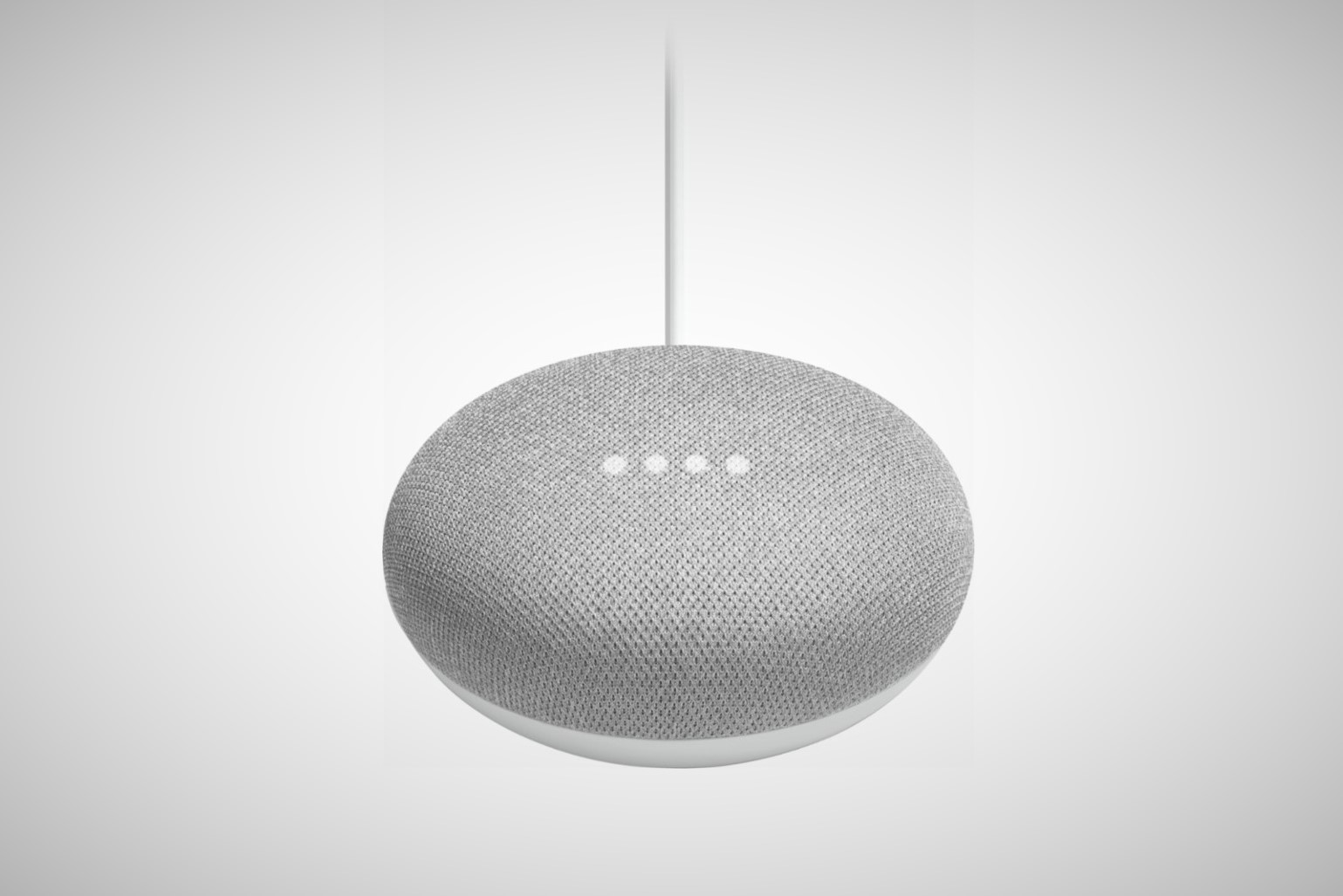 Google home mini 2024 work with roku