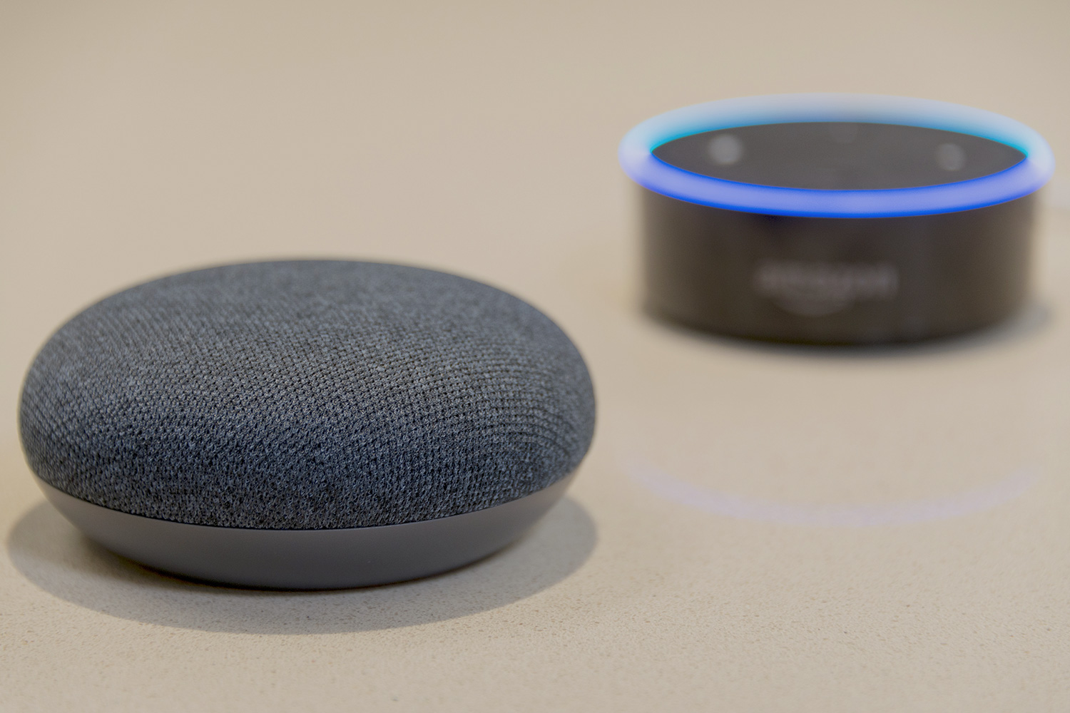 Echo dot google store assistant