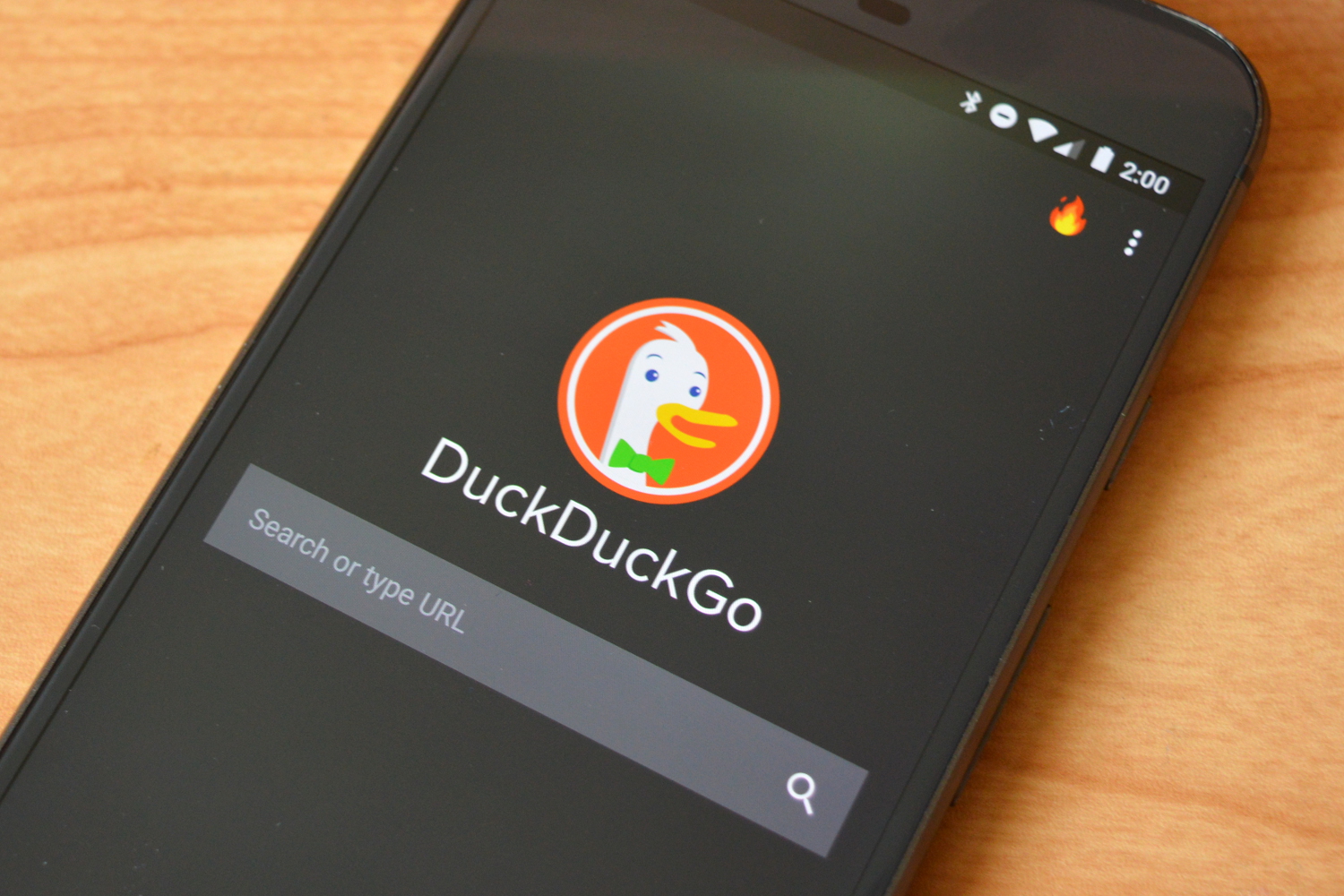 reviews of the browser duckduckgo