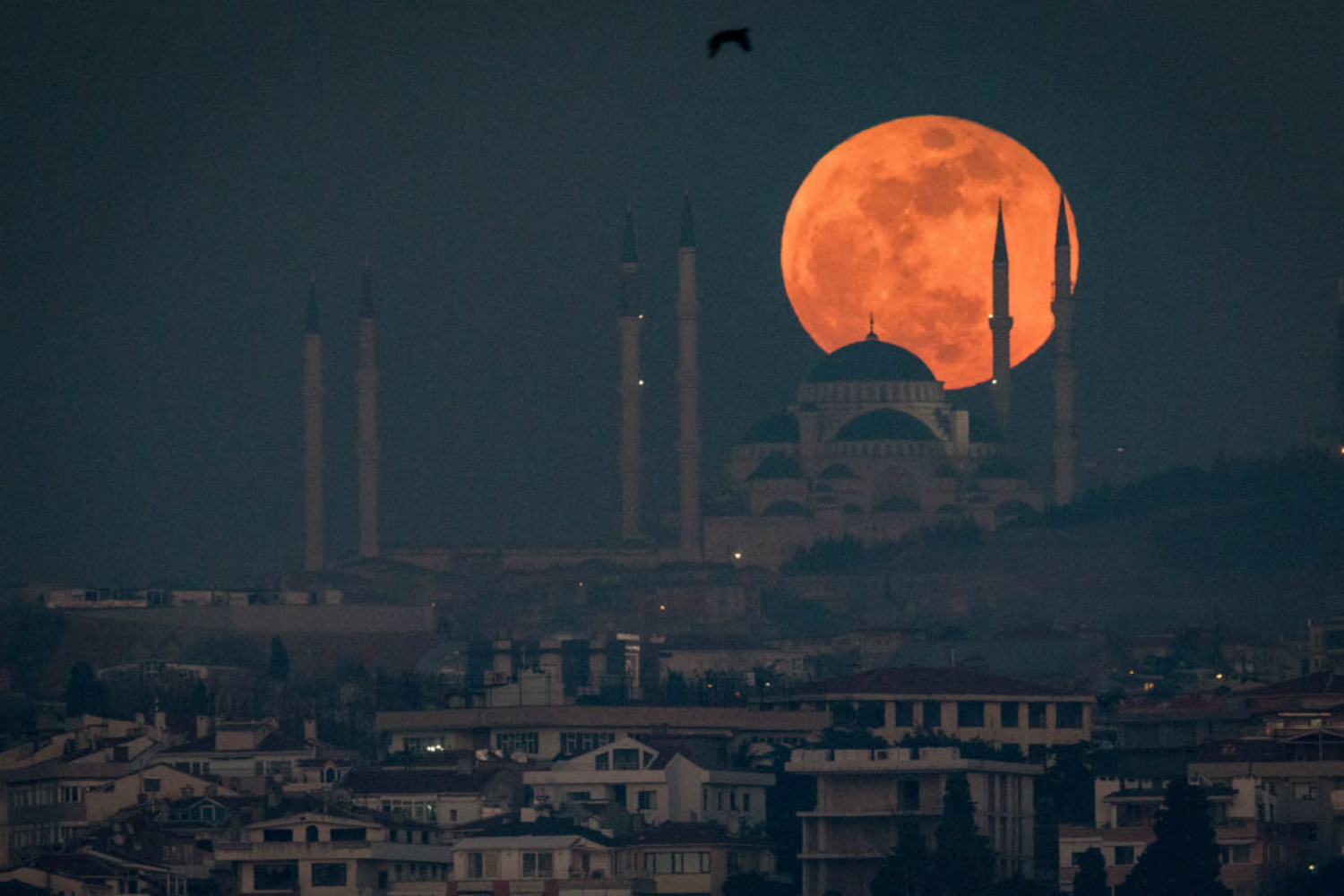 The Best Super Blue Blood Moon Photos From January 31, 2018. | Digital ...