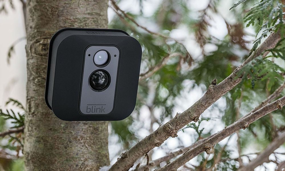 The Blink XT Home Security Camera mounted on a tree in snow.