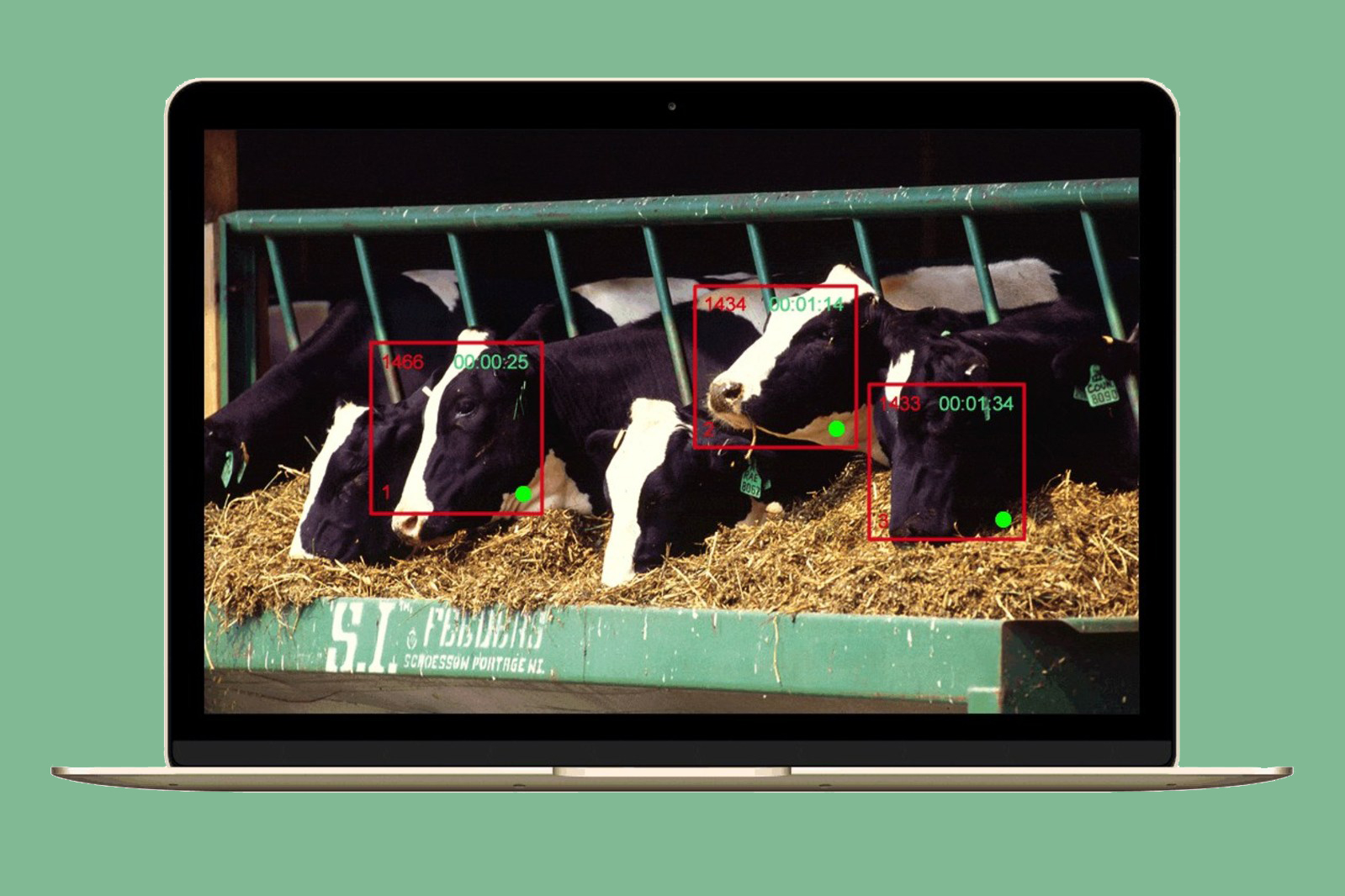 Got A.I.? Facial Recognition Now Works On Cows For Better Milk ...