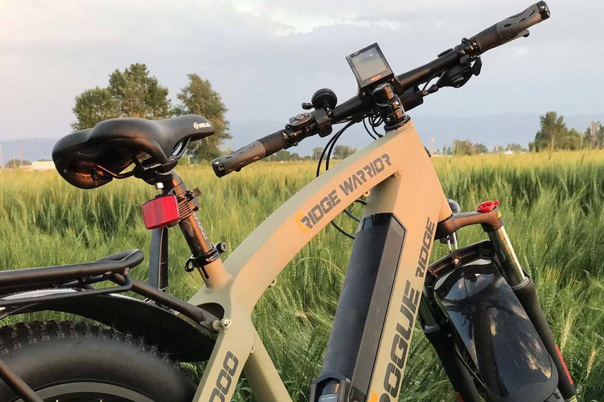 rogue ridge e bikes