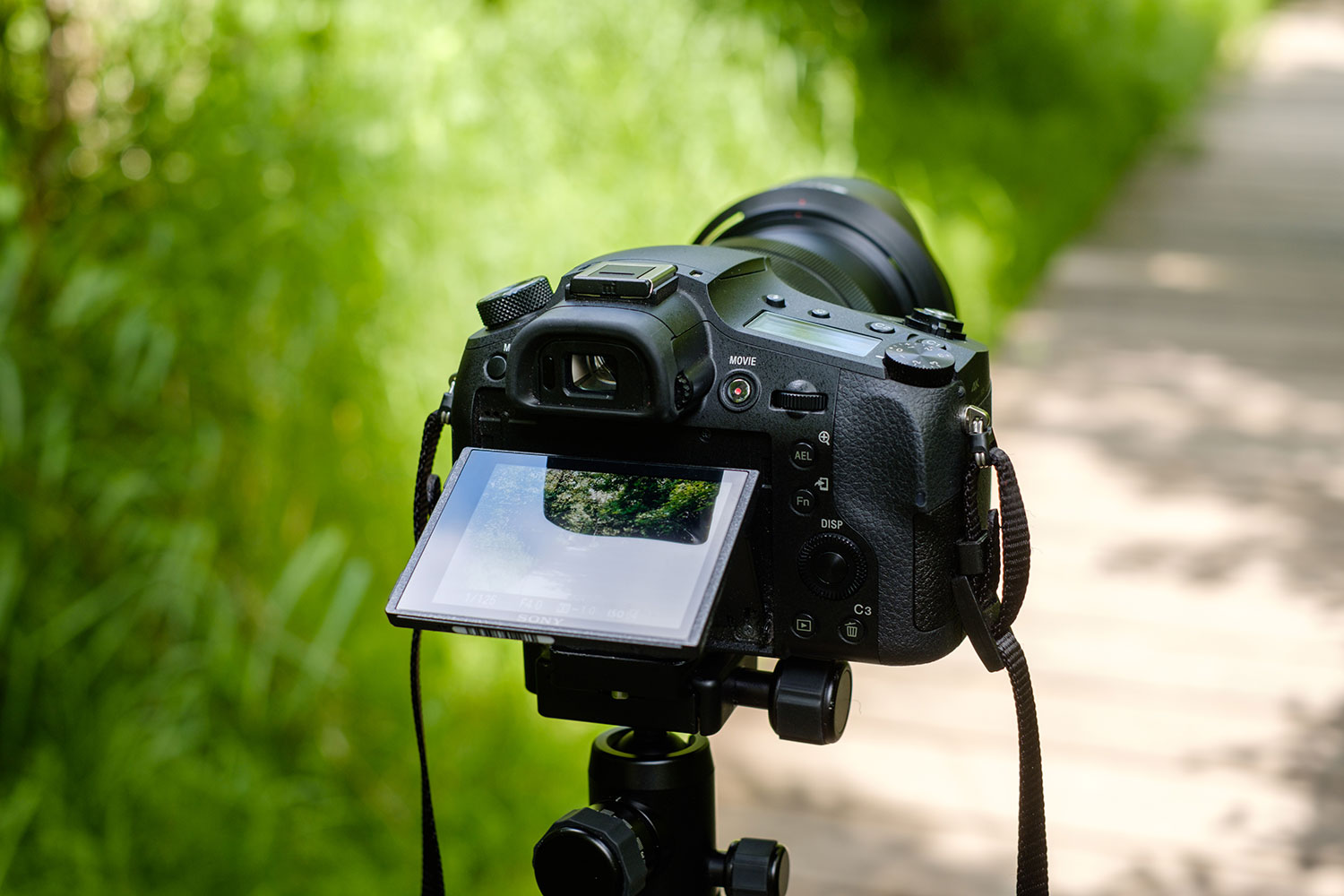 超高品質 SONY サイバーショット DSC-RX10 - カメラ