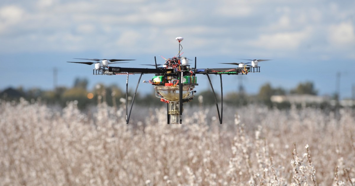 To Give Bees a Break, Farmers Pollinated an Apple Orchard with Drones ...