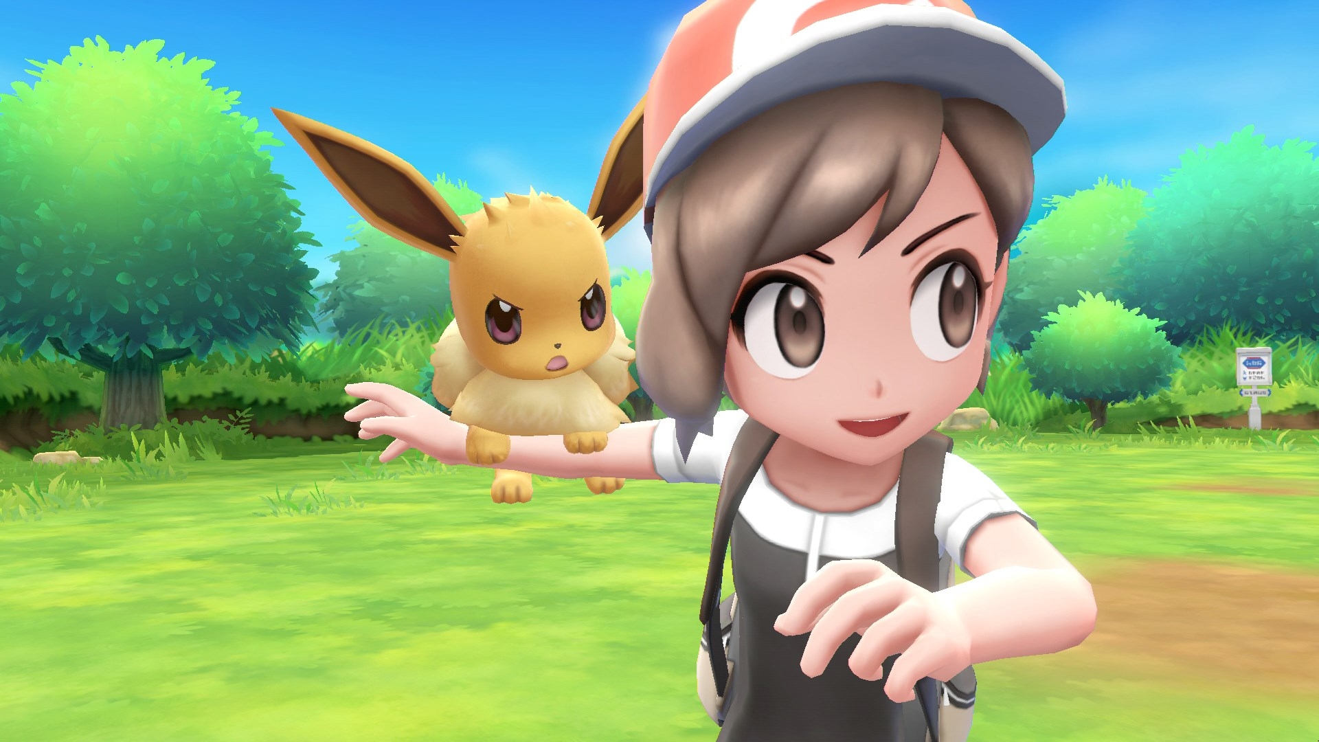 Pokemon let's go on sale eevee wii u