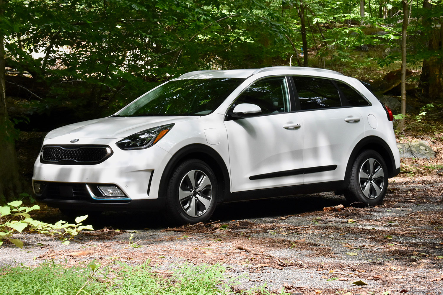 2019 kia deals niro phev