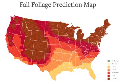 This Interactive Foliage Map Will Help You Plan Your Fall Adventures ...