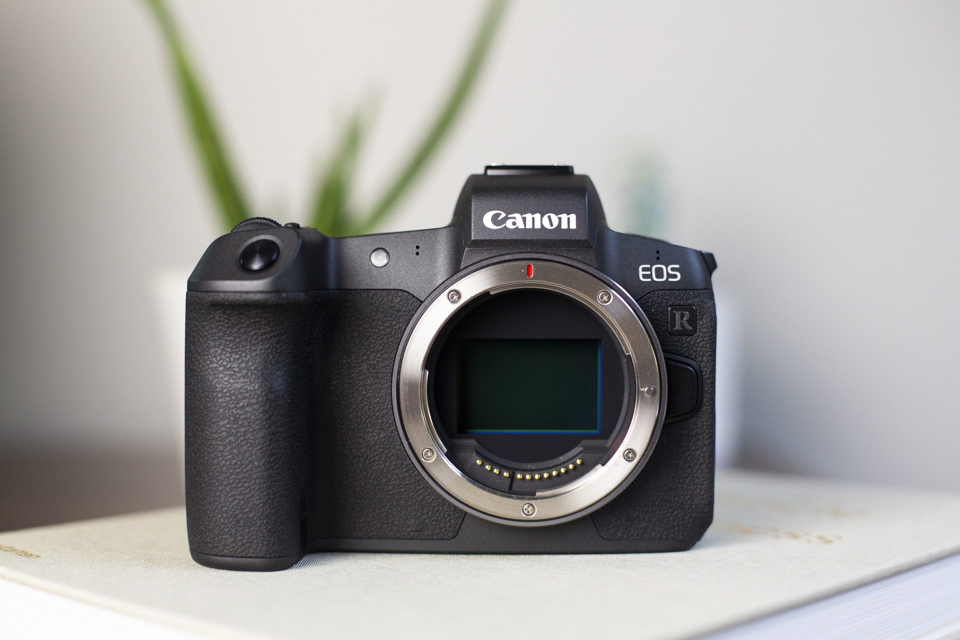 Canon EOS R Review | Digital Trends