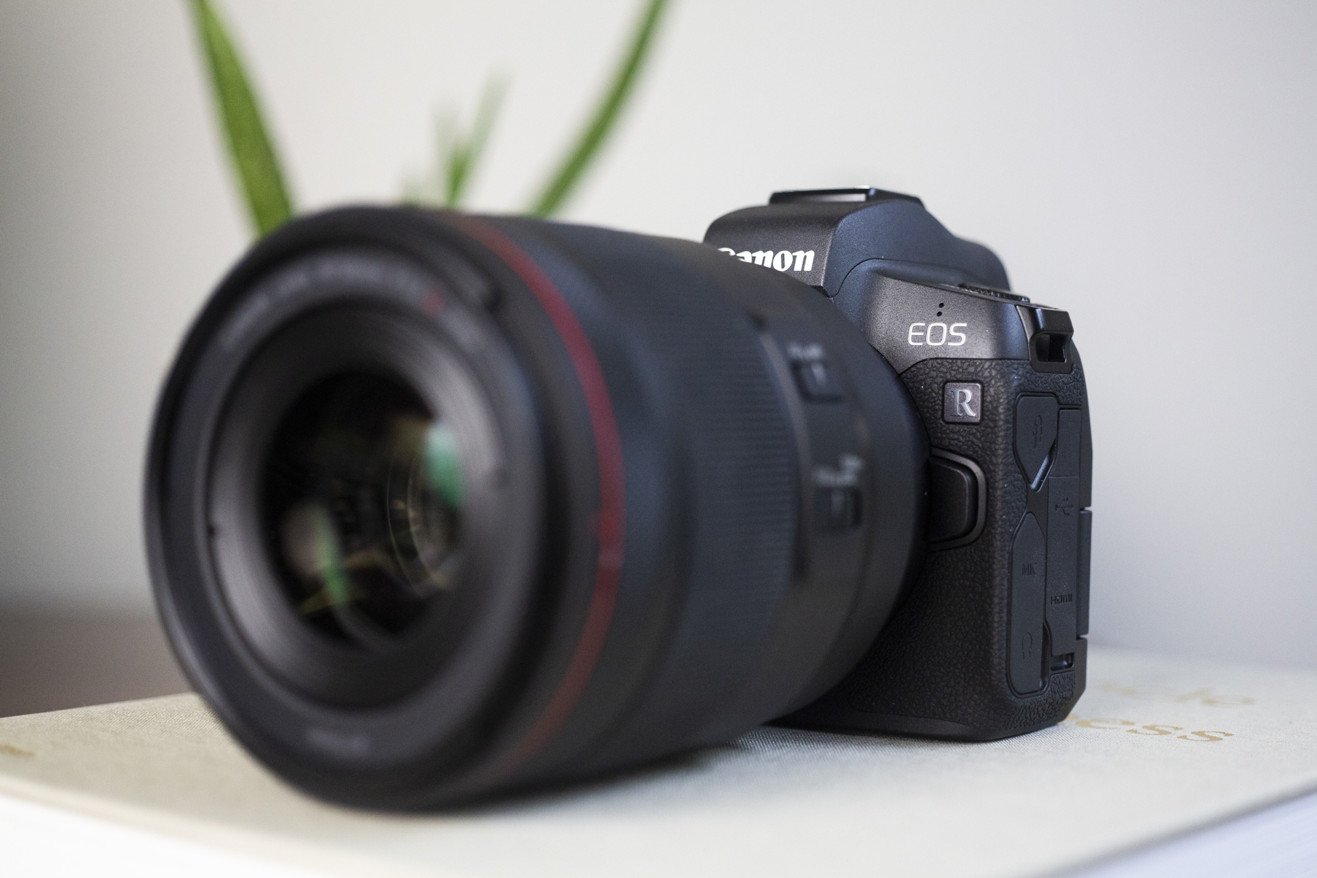 FINALLY! An Honest Canon EOS R Review, WARTS and ALL!