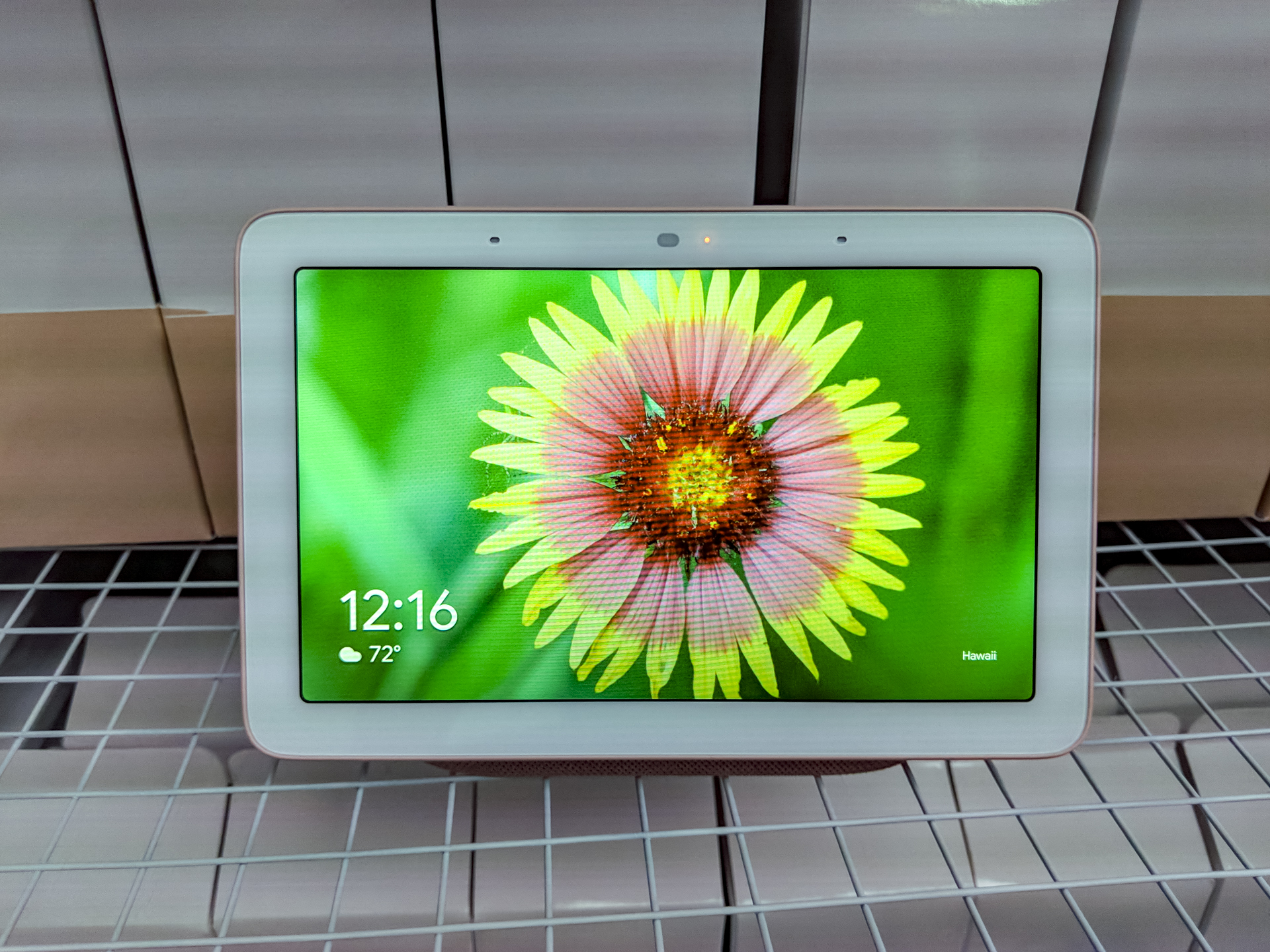 Google home v 2024 google home hub